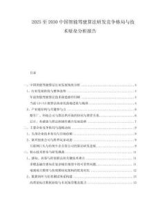 2025至2030中國智能駕駛算法研發(fā)競爭格局與技術(shù)壁壘分析報告