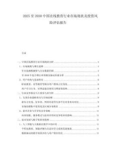 2025至2030中國在線教育行業(yè)市場現(xiàn)狀及投資風險評估報告