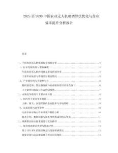 2025至2030中國農(nóng)業(yè)無人機噴灑算法優(yōu)化與作業(yè)效率提升分析報告