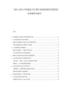 2025-2030中國(guó)地效飛行器行業(yè)深度調(diào)研及投資前景預(yù)測(cè)研究報(bào)告
