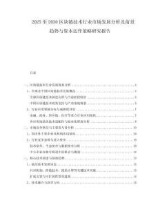 2025至2030區(qū)塊鏈技術(shù)行業(yè)市場(chǎng)發(fā)展分析及前景趨勢(shì)與資本運(yùn)作策略研究報(bào)告