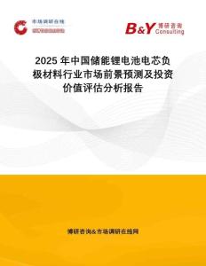 2025年中國儲能鋰電池電芯負(fù)極材料行業(yè)市場前景預(yù)測及投資價(jià)值評估分析報(bào)告