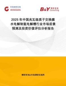 2025年中國兆瓦級質(zhì)子交換膜水電解制氫電解槽行業(yè)市場前景預(yù)測及投資價值評估分析報告