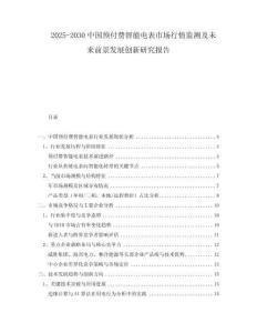 2025-2030中國預付費智能電表市場行情監(jiān)測及未來前景發(fā)展創(chuàng)新研究報告