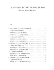 2025至2030工業(yè)互聯(lián)網(wǎng)平臺發(fā)展現(xiàn)狀及行業(yè)應(yīng)用與資本運(yùn)作策略研究報告