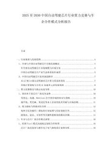 2025至2030中國(guó)自動(dòng)駕駛芯片行業(yè)算力競(jìng)賽與車(chē)企合作模式分析報(bào)告