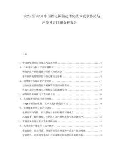 2025至2030中國鋰電銅箔超薄化技術(shù)競(jìng)爭(zhēng)格局與產(chǎn)能投資回報(bào)分析報(bào)告