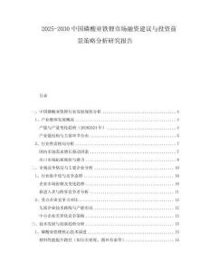 2025-2030中國(guó)磷酸亞鐵鋰市場(chǎng)融資建議與投資前景策略分析研究報(bào)告