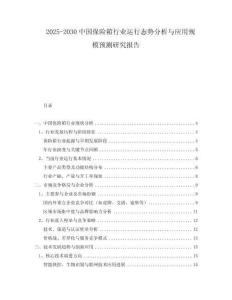 2025-2030中國保險(xiǎn)箱行業(yè)運(yùn)行態(tài)勢(shì)分析與應(yīng)用規(guī)模預(yù)測(cè)研究報(bào)告