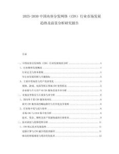2025-2030中國內容分發(fā)網(wǎng)絡（CDN）行業(yè)市場發(fā)展趨勢及前景分析研究報告