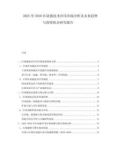 2025至2030區(qū)塊鏈技術(shù)應(yīng)用市場分析及未來趨勢與投資機(jī)會研究報告