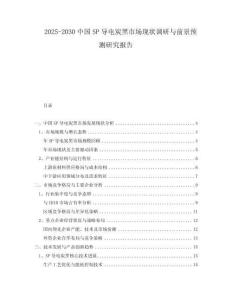 2025-2030中國(guó)SP導(dǎo)電炭黑市場(chǎng)現(xiàn)狀調(diào)研與前景預(yù)測(cè)研究報(bào)告