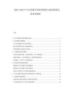2025-2030中小企業(yè)數(shù)字化轉(zhuǎn)型現(xiàn)狀與政府政策支持體系調(diào)研