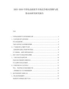 2025-2030中國(guó)電動(dòng)扭扭車市場(chǎng)競(jìng)爭(zhēng)格局預(yù)測(cè)與投資動(dòng)向研究研究報(bào)告