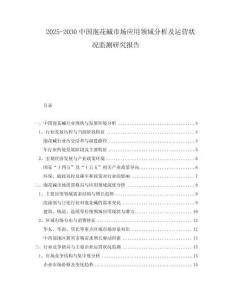 2025-2030中國泡花堿市場應(yīng)用領(lǐng)域分析及運(yùn)營狀況監(jiān)測研究報(bào)告
