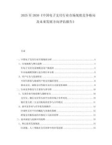 2025至2030《中國電子支付行業(yè)市場現(xiàn)狀競爭格局及未來發(fā)展方向評估報告》
