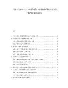 2025-2030中小企業(yè)技術(shù)創(chuàng)業(yè)扶持體系構(gòu)建與知識產(chǎn)權(quán)保護機制研究