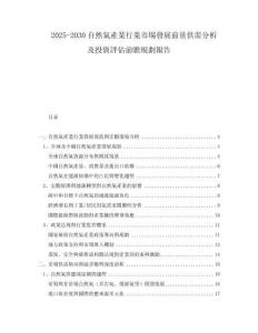 2025-2030自然氣產(chǎn)業(yè)行業(yè)市場發(fā)展前景供需分析及投資評估前瞻規(guī)劃報告