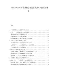 2025-2030中小企業(yè)數(shù)字化發(fā)展?jié)摿εc扶持政策設(shè)想