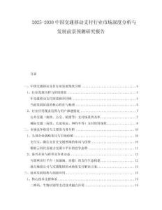 2025-2030中國交通移動支付行業(yè)市場深度分析與發(fā)展前景預(yù)測研究報告