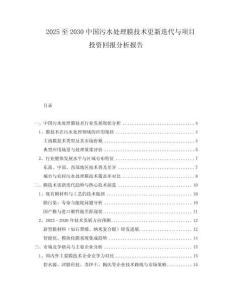 2025至2030中國污水處理膜技術(shù)更新迭代與項(xiàng)目投資回報(bào)分析報(bào)告
