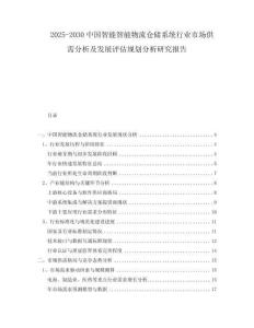 2025-2030中國(guó)智能智能物流倉儲(chǔ)系統(tǒng)行業(yè)市場(chǎng)供需分析及發(fā)展評(píng)估規(guī)劃分析研究報(bào)告