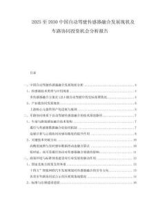 2025至2030中國(guó)自動(dòng)駕駛傳感器融合發(fā)展現(xiàn)狀及車(chē)路協(xié)同投資機(jī)會(huì)分析報(bào)告
