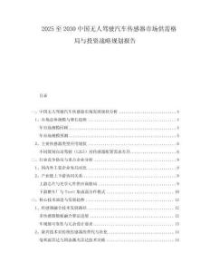 2025至2030中國(guó)無(wú)人駕駛汽車(chē)傳感器市場(chǎng)供需格局與投資戰(zhàn)略規(guī)劃報(bào)告