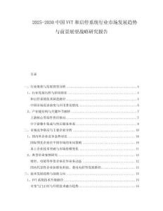 2025-2030中國(guó)VVT和啟停系統(tǒng)行業(yè)市場(chǎng)發(fā)展趨勢(shì)與前景展望戰(zhàn)略研究報(bào)告