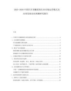 2025-2030中國(guó)汽車(chē)頂棚系統(tǒng)行業(yè)市場(chǎng)運(yùn)營(yíng)模式及未來(lái)發(fā)展動(dòng)向預(yù)測(cè)研究報(bào)告