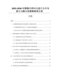 2025-2030中國極細(xì)同軸線運(yùn)營態(tài)勢與投資戰(zhàn)略規(guī)劃策略研究報(bào)告