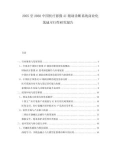 2025至2030中國醫(yī)療影像AI輔助診斷系統(tǒng)商業(yè)化落地可行性研究報告