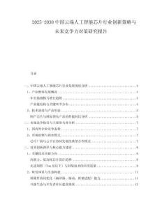 2025-2030中國云端人工智能芯片行業(yè)創(chuàng)新策略與未來競爭力對策研究報告