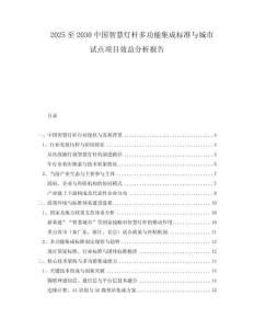 2025至2030中國智慧燈桿多功能集成標(biāo)準(zhǔn)與城市試點(diǎn)項(xiàng)目效益分析報告