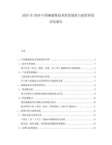 2025至2030中國(guó)碳捕集技術(shù)供需現(xiàn)狀與投資價(jià)值評(píng)估報(bào)告