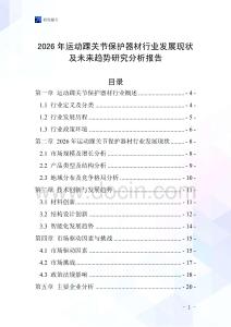 2026年運(yùn)動(dòng)踝關(guān)節(jié)保護(hù)器材行業(yè)發(fā)展現(xiàn)狀及未來趨勢研究分析報(bào)告