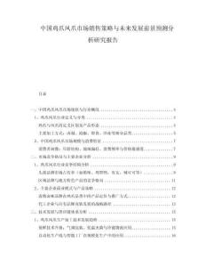 中國雞爪鳳爪市場銷售策略與未來發(fā)展前景預測分析研究報告