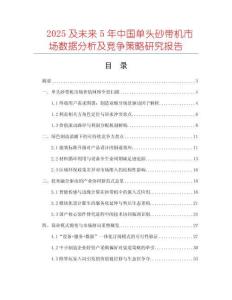 2025及未來5年中國單頭砂帶機市場數(shù)據(jù)分析及競爭策略研究報告