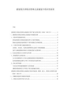 感覺統(tǒng)合訓(xùn)練在特殊兒童康復(fù)中的應(yīng)用前景