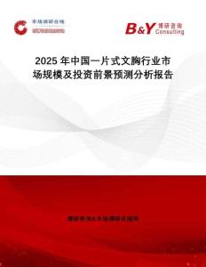 2025年中國一片式文胸行業(yè)市場規(guī)模及投資前景預測分析報告