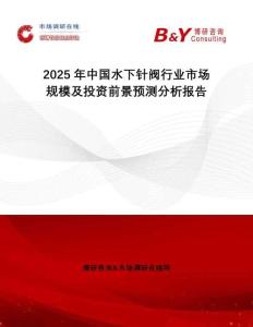 2025年中國水下針閥行業市場規模及投資前景預測分析報告