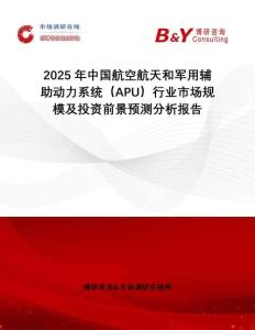 2025年中國航空航天和軍用輔助動力系統(tǒng)（APU）行業(yè)市場規(guī)模及投資前景預(yù)測分析報告