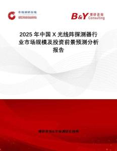2025年中國X光線陣探測器行業(yè)市場規(guī)模及投資前景預(yù)測分析報告