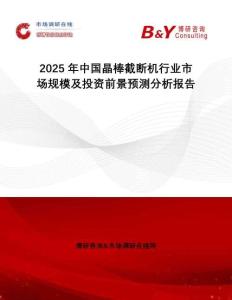 2025年中國晶棒截斷機(jī)行業(yè)市場規(guī)模及投資前景預(yù)測分析報告