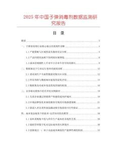 2025年中國子彈消毒劑數據監測研究報告