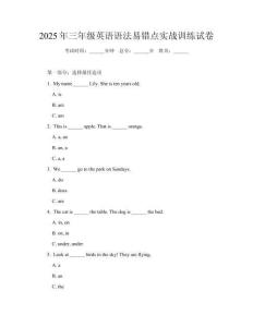 2025年三年級英語語法易錯點實戰(zhàn)訓(xùn)練試卷
