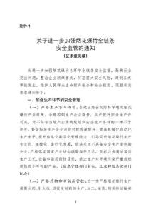 進一步加強煙花爆竹全鏈條安全監管的通知（征求意見稿）及起草說明