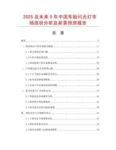 2025及未來(lái)5年中國(guó)車(chē)胎閃光燈市場(chǎng)現(xiàn)狀分析及前景預(yù)測(cè)報(bào)告