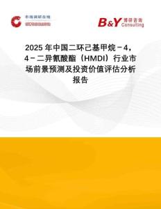 2025年中國(guó)二環(huán)己基甲烷－4，4－二異氰酸酯（HMDI）行業(yè)市場(chǎng)前景預(yù)測(cè)及投資價(jià)值評(píng)估分析報(bào)告