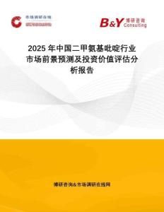 2025年中國二甲氨基吡啶行業(yè)市場前景預測及投資價值評估分析報告